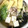 桃的美しき日々's cooksnap of when they made 鶏肉と油揚げの塩こうじ鍋.