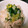 くっきングまま's cooksnap of when they made 蒸し鶏のネギ塩ダレ.