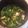 クックZ8J4H4☆'s cooksnap of when they made 小松菜・油揚げ・麩の煮物.