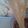 こ～ぎぃ☆'s cooksnap of when they made ♫♬そうめんにラー油♫♬.