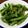 saoriiin☆'s cooksnap of when they made 副菜やお弁当に☆いんげんの醤油和え.