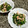 ぐぅ〜しょこらんたん's cooksnap of when they made ほうれん草とツナのごま和え.