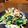ツクモグサ's cooksnap of when they made 褒められ上手の！簡単！白和え.