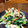 ツクモグサ's cooksnap of when they made 褒められ上手の！簡単！白和え.