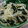 はるちゃを's cooksnap of when they made もやしとネギのサラダ.