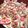 クックIM7JME☆'s cooksnap of when they made スージーズー★ブーフのクッキー.