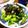 B子chan's cooksnap of when they made 鶏肉とブロッコリーのワサビ和え☆.