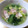 gonnanmama's cooksnap of when they made 青梗菜　簡単スープ♪.