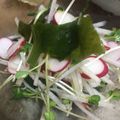 ななえ先生's cooksnap of when they made 簡単！大根サラダ.