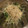 みほチュニック's cooksnap of when they made ごまたっぷり☆もやしときゅうりのサラダ.