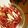 ヘラクレスオオカブト's cooksnap of when they made 紫大根と水菜と蒸し鶏のサラダ.