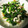 yaccho's cooksnap of when they made 小松菜とちくわのナムル.