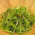 goodspeed7's cooksnap of when they made ✩水菜のサラダ✩.