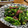さぁぎにゃん's cooksnap of when they made 簡単！ホタルイカと菜の花のにんにく炒め.