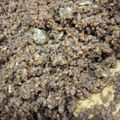 ryoーtan's cooksnap of when they made 舞茸とひき肉の佃煮.