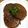 とらhana's cooksnap of when they made 大根の照り煮.