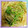 Emiii28's cooksnap of when they made もやし万歳♪豆苗にんにく炒め.
