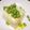 ayaakari's cooksnap of when they made 枝豆チーズ豆腐.