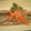 しょんず's cooksnap of when they made 揚げない！ししゃもの南蛮漬け.