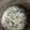 Hiroyuky's cooksnap of when they made 【離乳食】わかめとしらすのおかゆ.