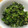 リラシャン's cooksnap of when they made ほうれん草の胡麻和え.