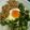 クックE2OKKZ☆'s cooksnap of when they made 納豆とオクラのねばねば丼.