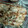 れいこ14's cooksnap of when they made 簡単！長芋×たらこチーズマヨ.