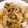 Saitoon's cooksnap of when they made 玉こんにゃくと大根と豚肉のピリ辛炒め♪.