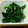 ペコポコみな's cooksnap of when they made 簡単！ほうれん草のごま和え.