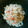 dashman's cooksnap of when they made 簡単☆美味しい マヨぽんもやし.