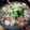かなモノ's cooksnap of when they made 簡単！鶏だんごでけんちん汁.