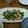 クックN2ELMN☆'s cooksnap of when they made ささみとピーマンの胡麻炒め.
