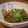 れのっち's cooksnap of when they made 味付け不要で絶品★絹さやの干しエビ炒め.
