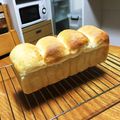 かなざわさん's cooksnap of when they made 憧れのメランジュールロボでパン作り！.