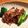 ★もにゃ大好き★'s cooksnap of when they made ぶりソテー醤油バター茸ソース＊レモン風味.