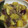 ㌧㌧ナデナデ's cooksnap of when they made ご飯に合う！さつまいものそぼろあんかけ.