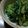 クック7D6J1I☆'s cooksnap of when they made ナッツ大好きのピーナッツ和え.