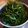 たにたーに's cooksnap of when they made ✩水菜のサラダ✩.