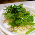 わたるんママ's cooksnap of when they made 炒め挽き肉と香菜の和えそうめん.