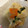 クックE1T0SX☆'s cooksnap of when they made 簡単！高野豆腐の卵とじ.