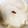 なぁなぁなぁにぃ's cooksnap of when they made 大根の千枚漬け✿わたし風.
