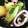 micchily's cooksnap of when they made じゃがいもといかの煮物.