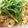 みこふ◉'s cooksnap of when they made お豆腐消費に　お手軽炒り豆腐.
