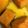 クックZ8J4H4☆'s cooksnap of when they made かぼちゃの煮物.