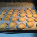 クックMB73FX☆'s cooksnap of when they made サクサク!!バターサブレ.