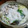 ウーパー太郎's cooksnap of when they made さっぱりと、みぞれ牡蠣鍋.