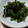 ゆうちゃんマン。's cooksnap of when they made 簡単♪美味しい ほうれん草のごま和え.