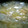かぴーな's cooksnap of when they made 白菜と卵とじの味噌汁.