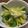 あだ。's cooksnap of when they made 韓国風おつまみ。おくらサラダ.