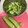 ビートルズ食堂's cooksnap of when they made うちのやり方♤保存に強い❢胡瓜の下処理法.